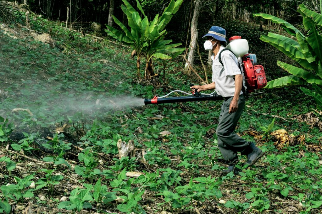 A farmer sprays pesticides in a lush forest area near Manacapuru, Brazil.