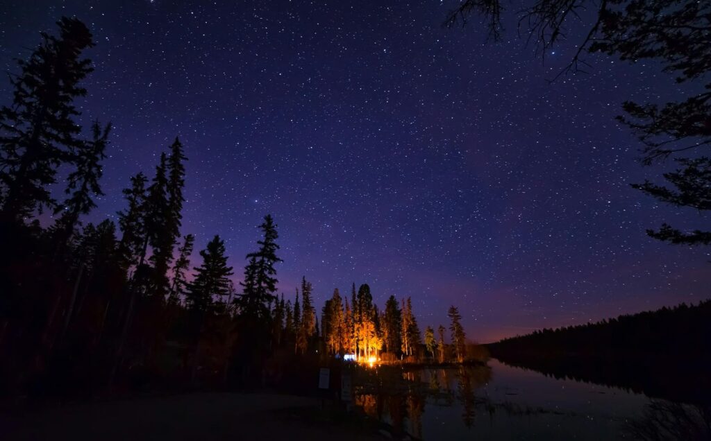 pine trees under starry night sky camping gas